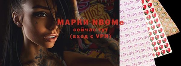 соль ск Каменногорск