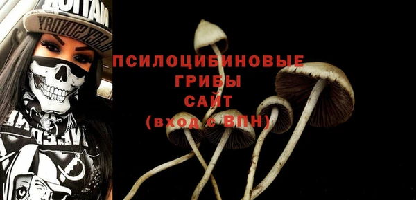 ALPHA PVP Инсар