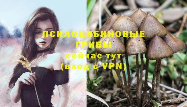 марки nbome Инта