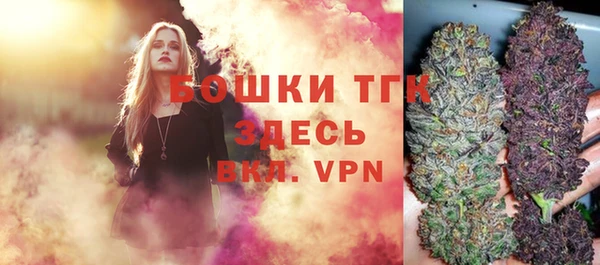 ALPHA PVP Инсар