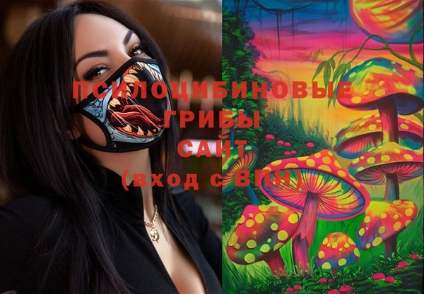 ALPHA PVP Инсар